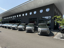 Lexus LM VIP