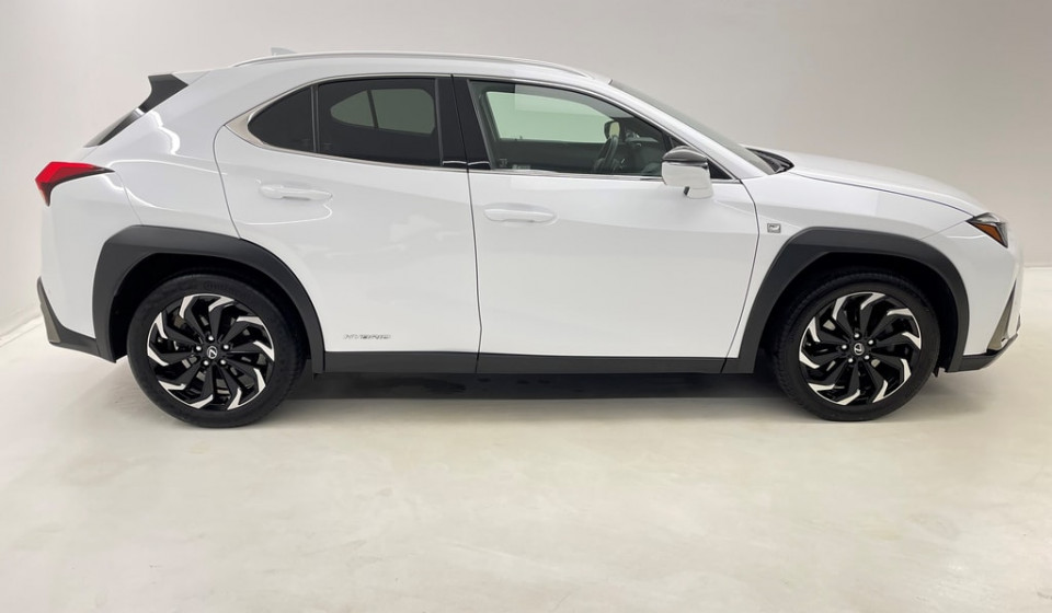 LEXUS UX 250h F Sport E-FOUR Voll-Hybrid